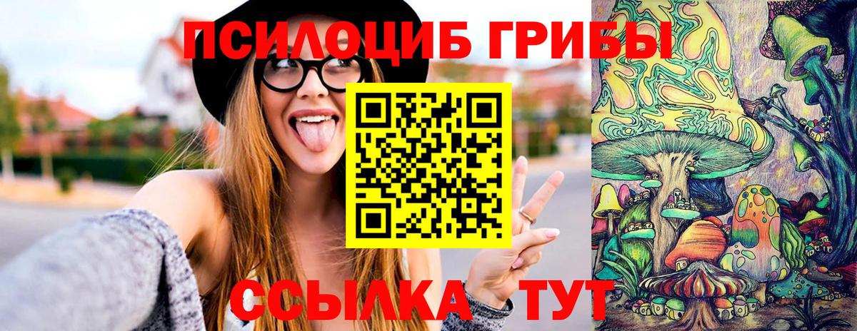 Псилоцибиновые грибы MAGIC MUSHROOMS  Псилоцибиновые грибы мухоморы  Дмитров  Вход с VPN 
